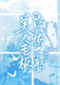 美人老板她只撩不娶